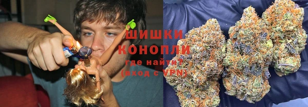 apvp Верея