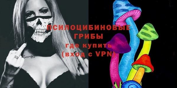ПСИЛОЦИБИНОВЫЕ ГРИБЫ Волоколамск